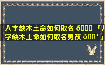 八字缺木土命如何取名 🍁 「八字缺木土命如何取名男孩 🐳 」